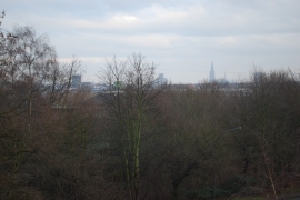 DSC_0125